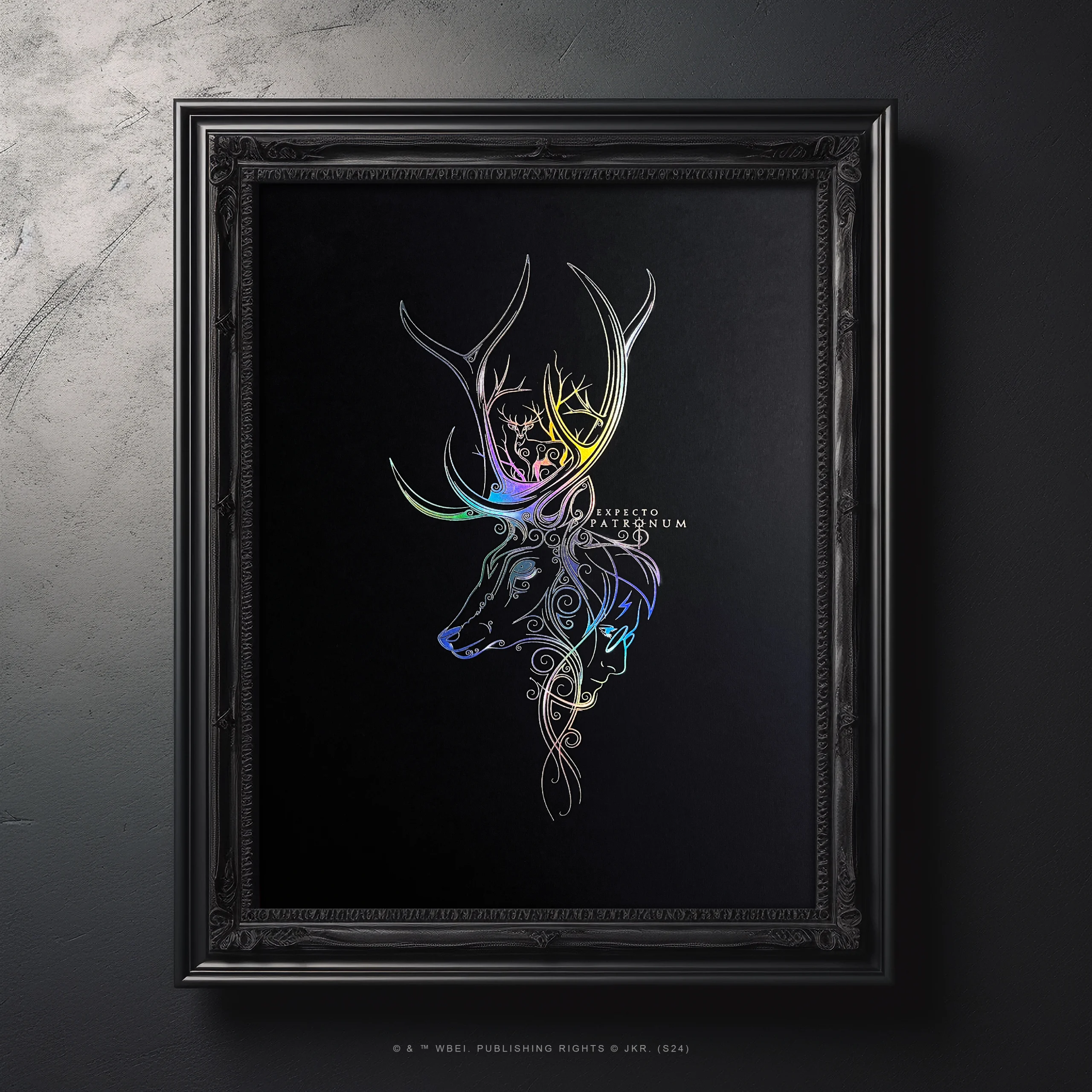 affiche de collection patronum harry potter