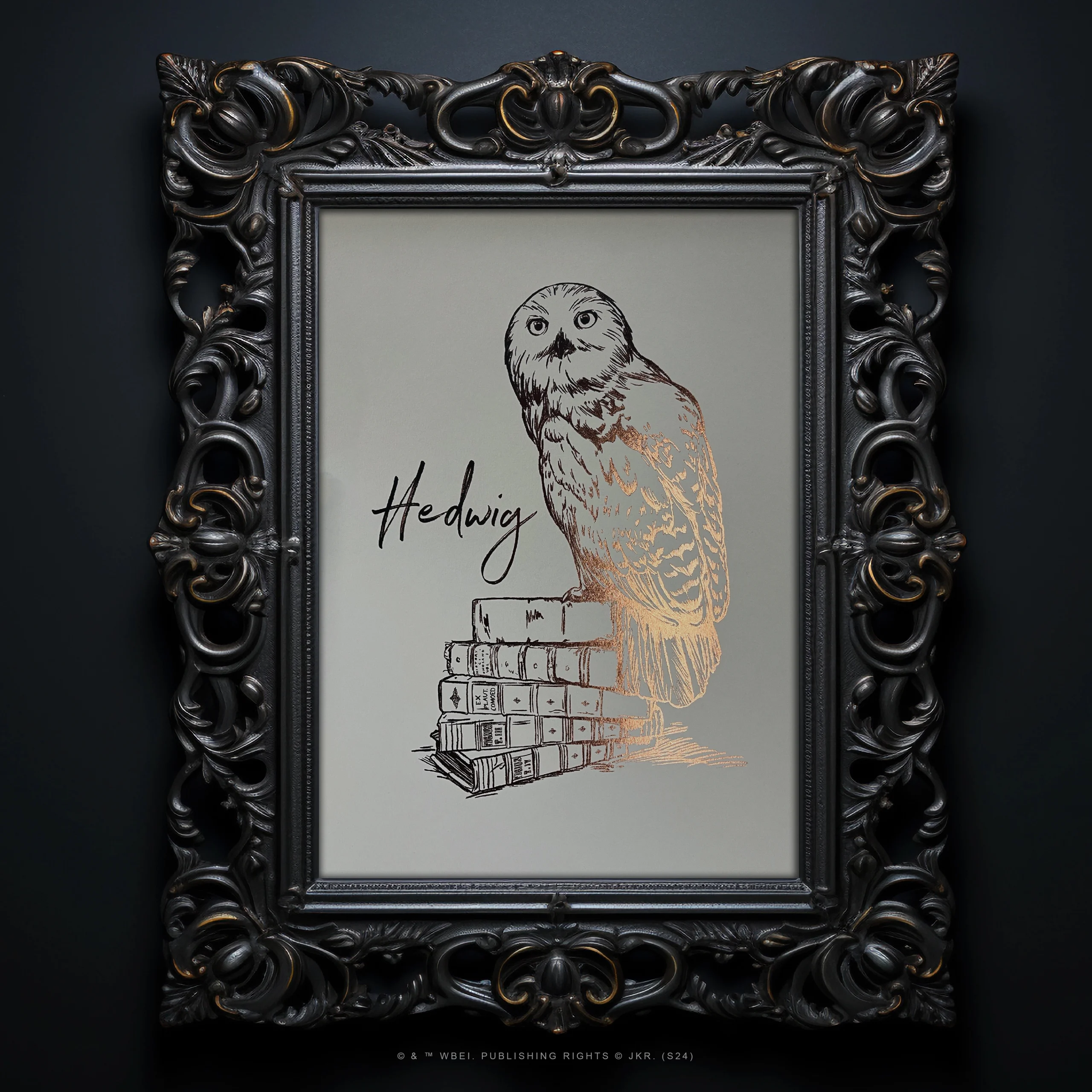 affiche de collection hedwige harry potter