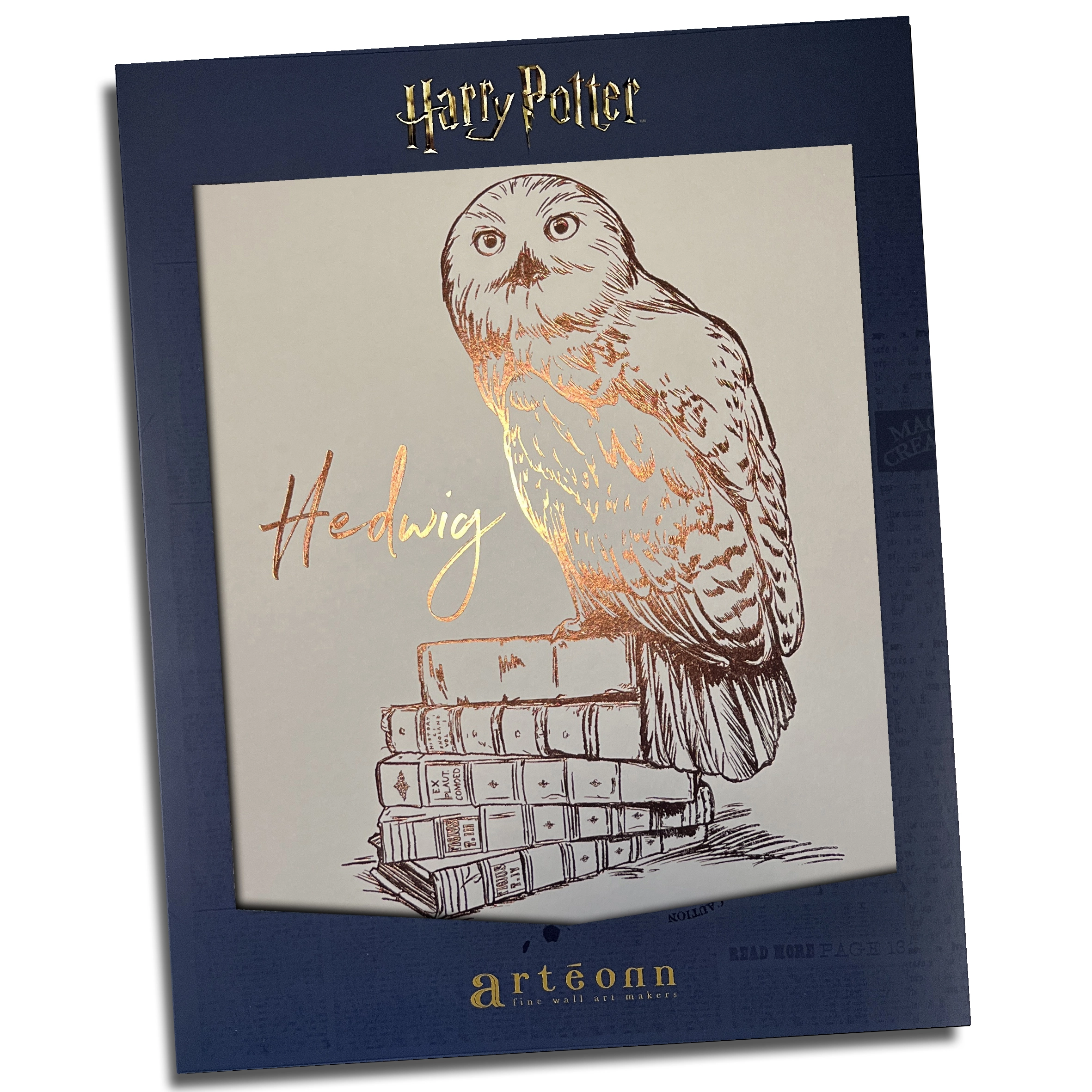 affiche de collection hedwige harry potter
