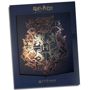 affiche de collection hedwige harry potter (copie)