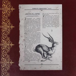 page des créatures magiques elf et erlking the wizarding trunk