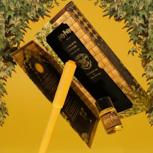ensemble stylo plume "carousel" et encre 10 ml poufsouffle ferris wheel press