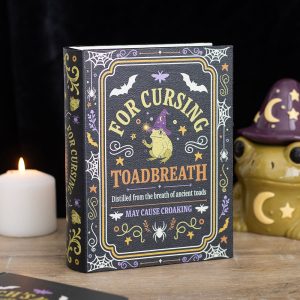 boîte de rangement en forme de livre the misfortune teller something different (copie)