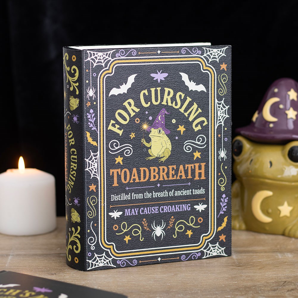 boîte de rangement en forme de livre the misfortune teller something different (copie)