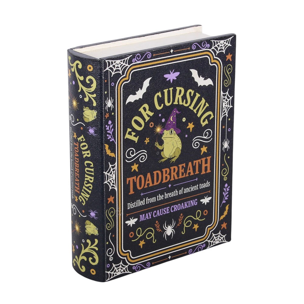 boîte de rangement en forme de livre the misfortune teller something different (copie)