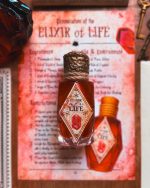 Elixir of Life Bottle 18.99 charm de la clé volante – the wizarding trunk (copie)