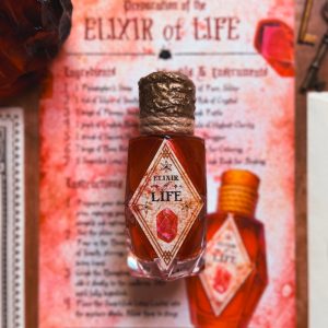 charm de la clé volante – the wizarding trunk (copie)