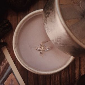 The Winged Key Charm 15.99