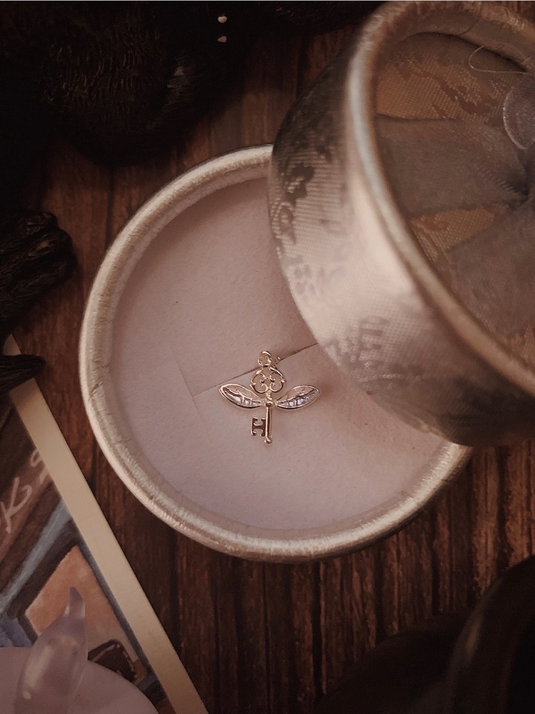 The Winged Key Charm 15.99
