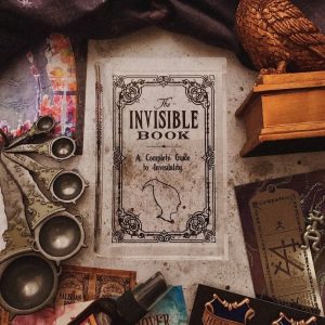 vase livre d'invisibilité the wizarding trunk